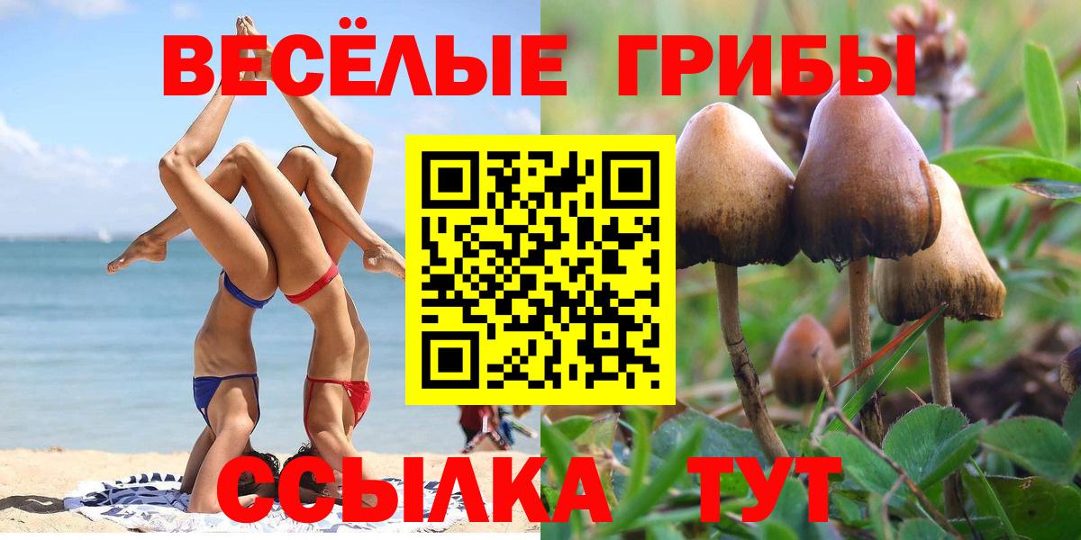 Омск  Галлюциногенные грибы Psilocybine cubensis  Вход с VPN 